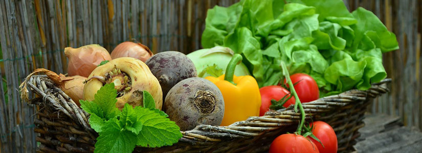 Uncertain facts of organic vegetables in India