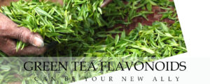 Green Tea Flavonoids can be your New Ally